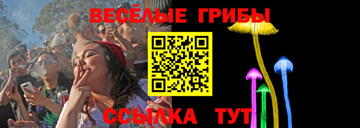 Псилоцибиновые грибы Psilocybine cubensis  Псилоцибиновые грибы мицелий  цена   Кирово-Чепецк  Вход с VPN 